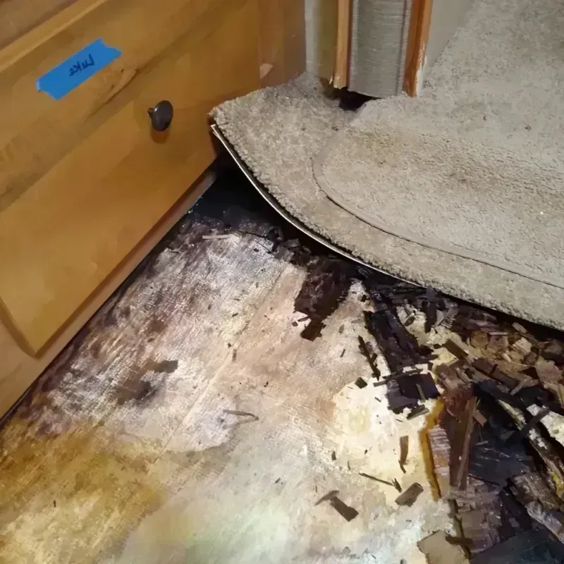 Wood Floor Water Damage in Chickasaw, AL